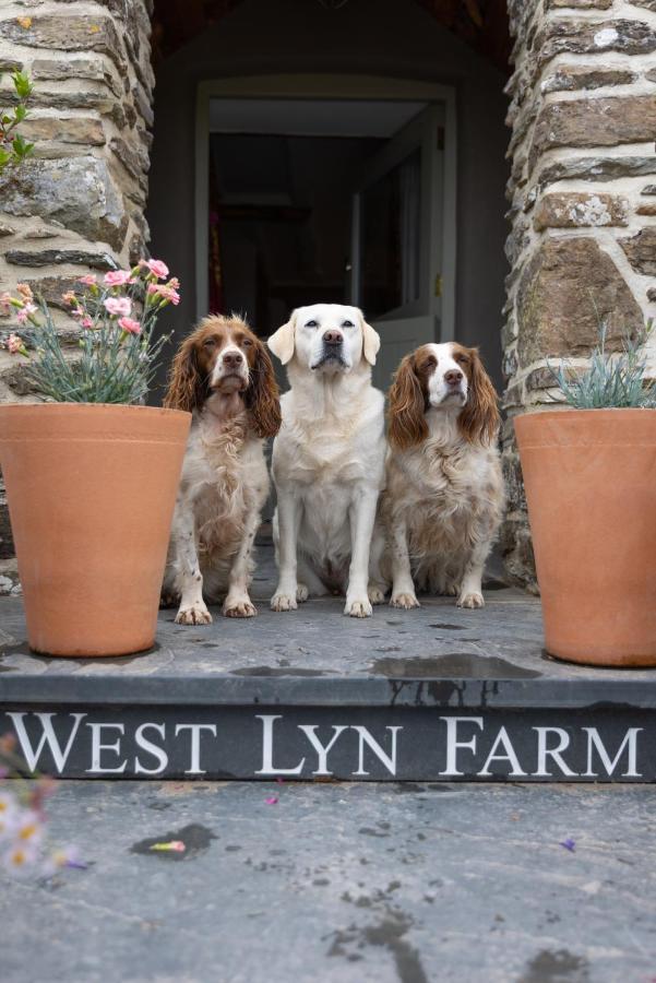 West Lyn Farm B&B And Shepherd Hut 린턴 외부 사진